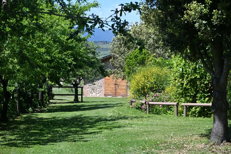 Agriturismo Borgo Santa Maria — Der Park mit Blick auf die Hügel