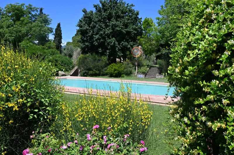 Agriturismo Borgo Santa Maria — Der Pool umgeben von Grün und Blumen
