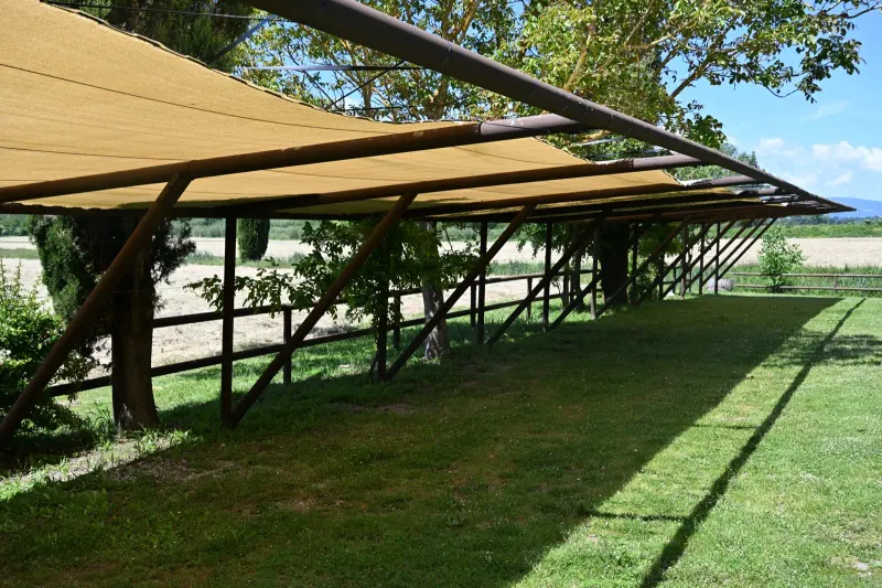 Agriturismo Borgo Santa Maria — Schattige Pergola mit Blick auf die Landschaft