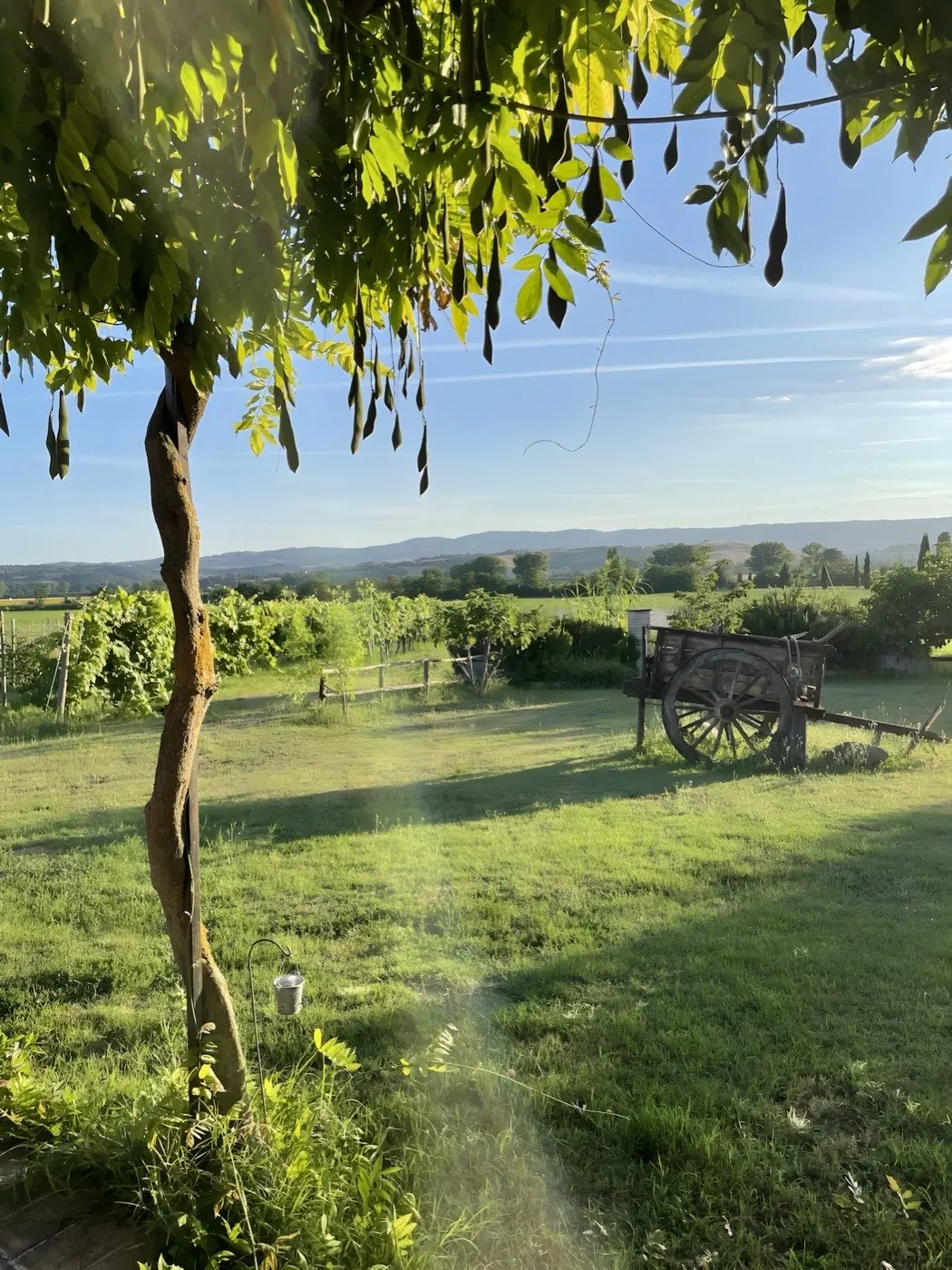 Herbst · Bio-Garten