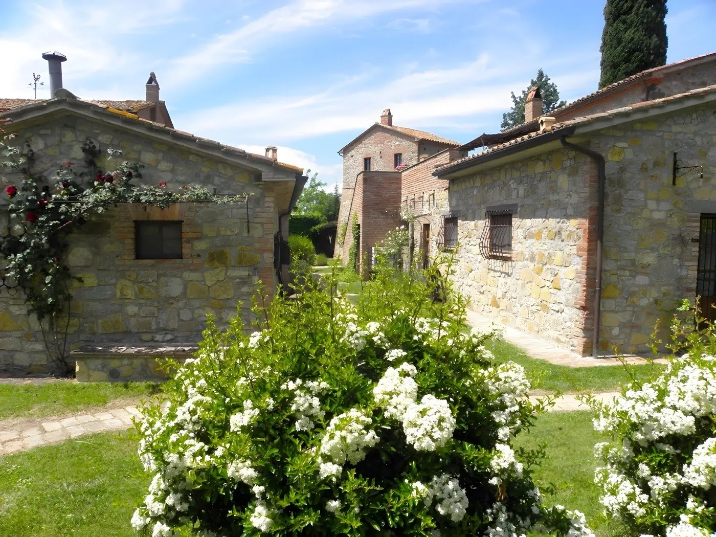 Cetona