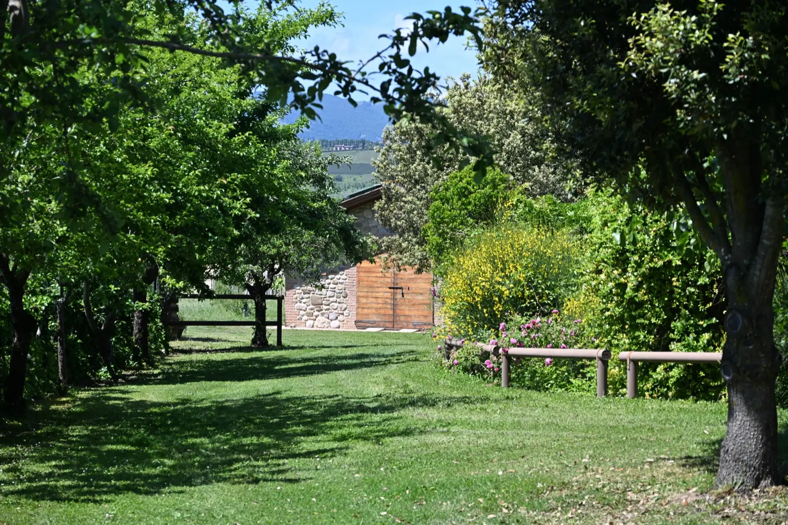 Agriturismo Borgo Santa Maria — Il parco con vista sulle colline