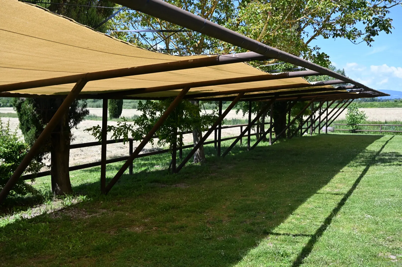 Agriturismo Borgo Santa Maria — Pergolato ombreggiato con vista sulla campagna