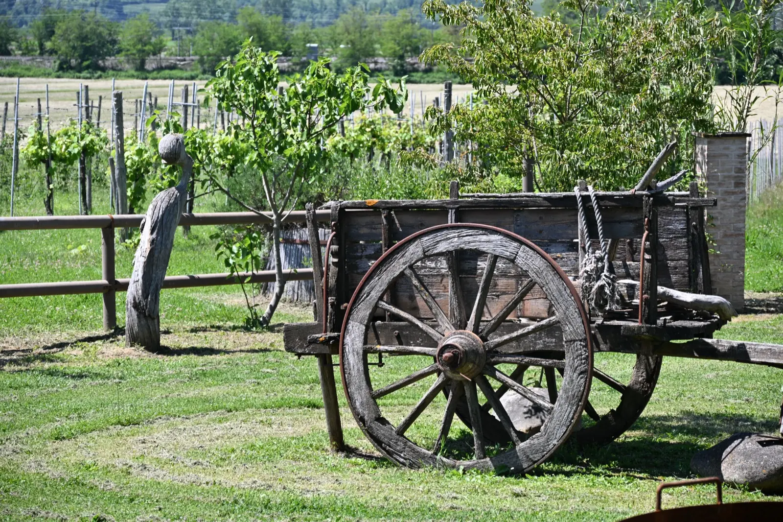Agriturismo Borgo Santa Maria — Carro d'epoca e vigneto