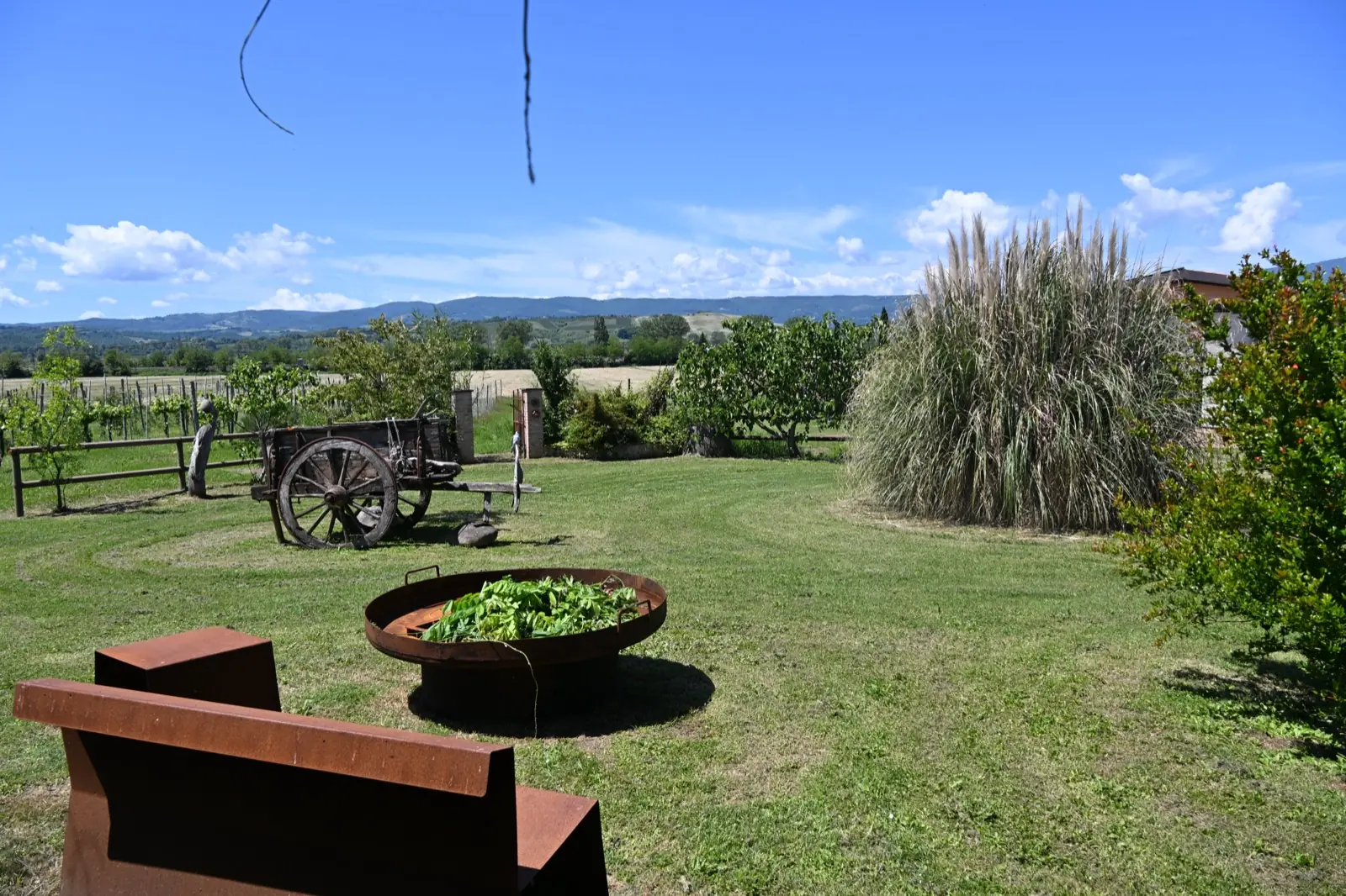 Agriturismo Borgo Santa Maria — Brace e relax con vista panoramica