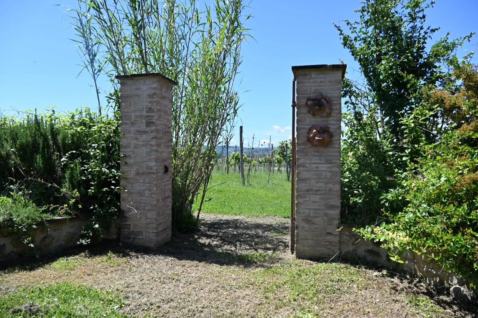 Agriturismo Borgo Santa Maria — Ingresso in pietra verso il vigneto