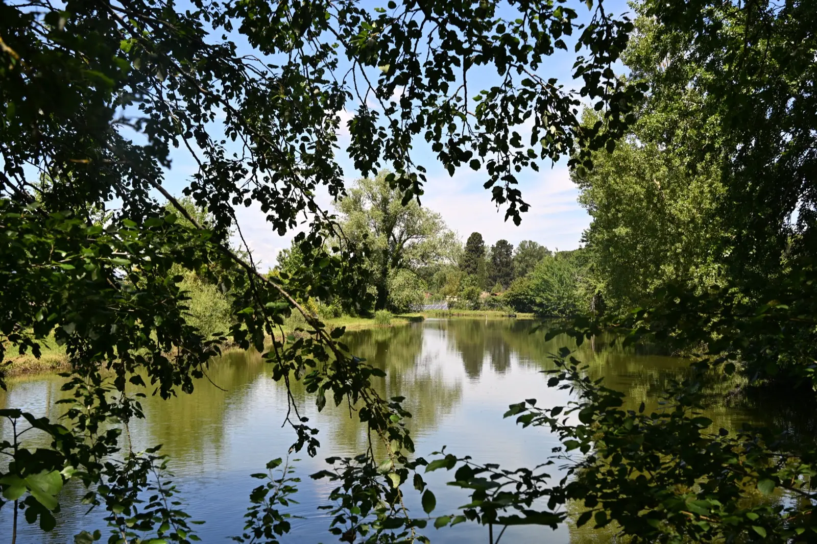 Agriturismo Borgo Santa Maria — Il laghetto immerso nel verde