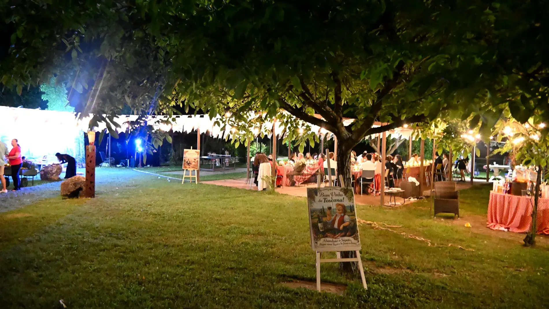 Der große beleuchtete Baum im Park bei Nacht