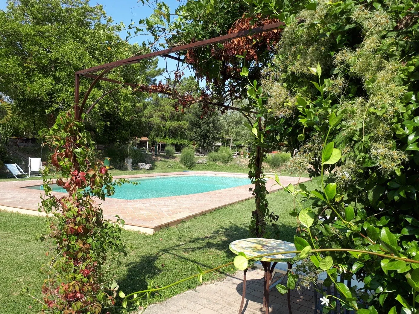 Der Pool durch die Eisenpergola gesehen